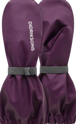 Didriksons Pileglove vuorilliset saderukkaset, Northern Purple