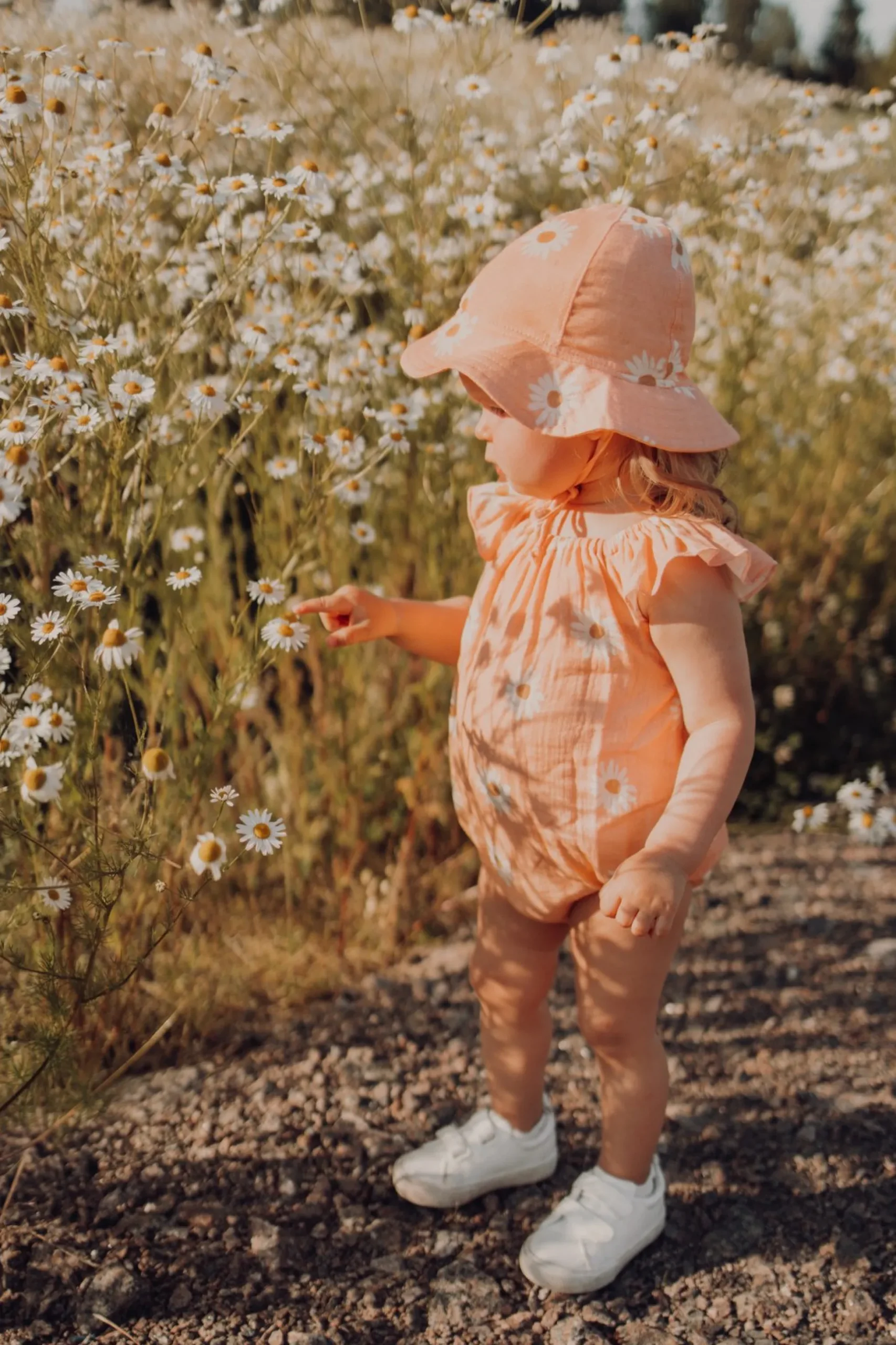 Metsola Sweet Daisy musliini kesu00e4hattu, Peachy