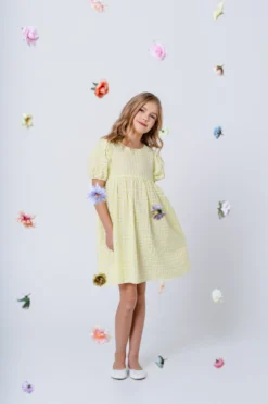 Mingnelin seersucker mekko