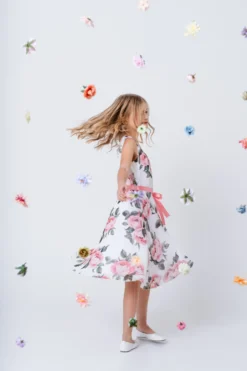Mingnelin sifonkimekko, Rosy